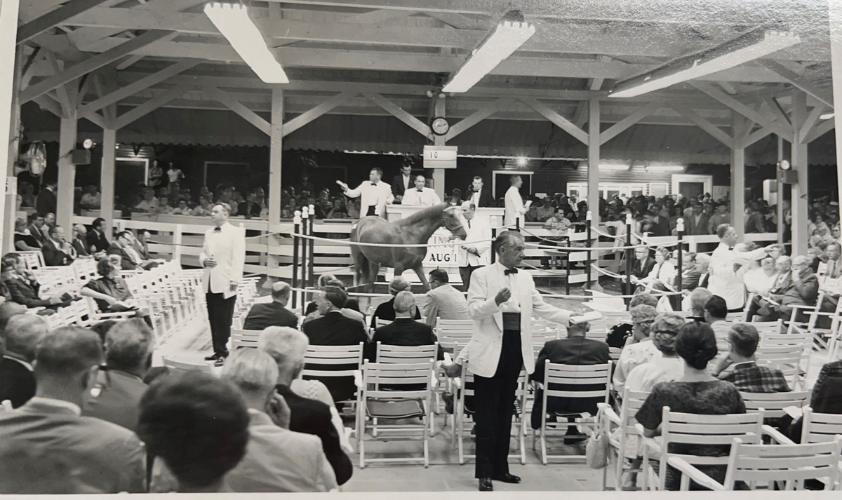 Saratoga Summer Sales