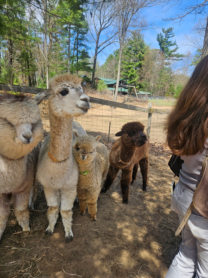 Saratoga Farm Showcase
