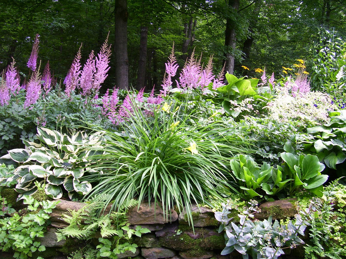 Acquiring an Eye for Garden Design