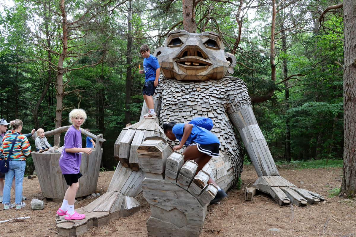 Dambo’s Trail of a Thousand Trolls Comes to Life at The Wild Center