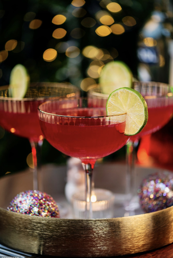 Entertaining with Ralph Vincent - A Holiday Cocktail Party Mid Century Style!