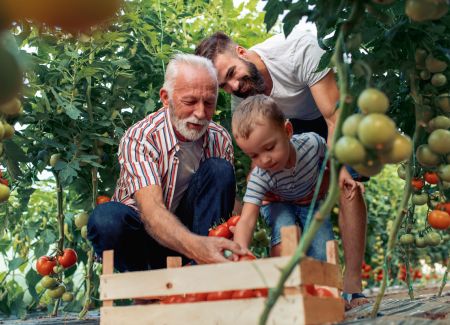 Gardening Grows A Healthy Family