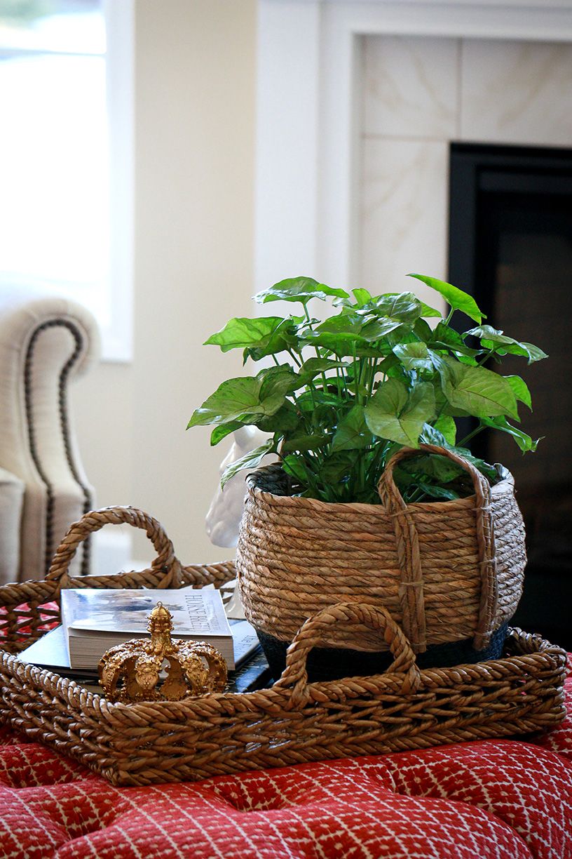 Coffee Table Basket